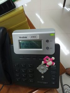 246504_0